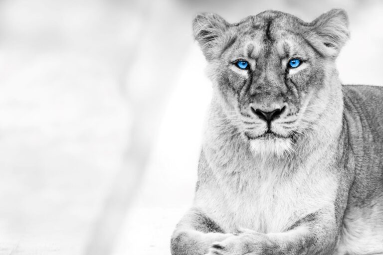 Why investing in management and leadership has never been so important in the UK